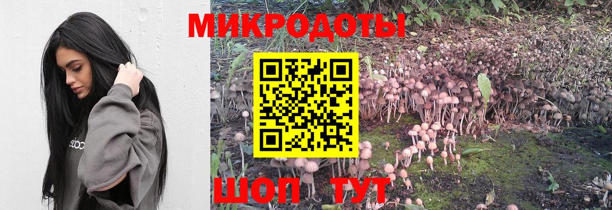 Галлюциногенные грибы ЛСД Новокуйбышевск