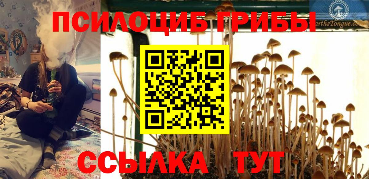 сколько стоит  Галлюциногенные грибы ЛСД  Вход с VPN  Псилоцибиновые грибы Psilocybe  Новокуйбышевск 
